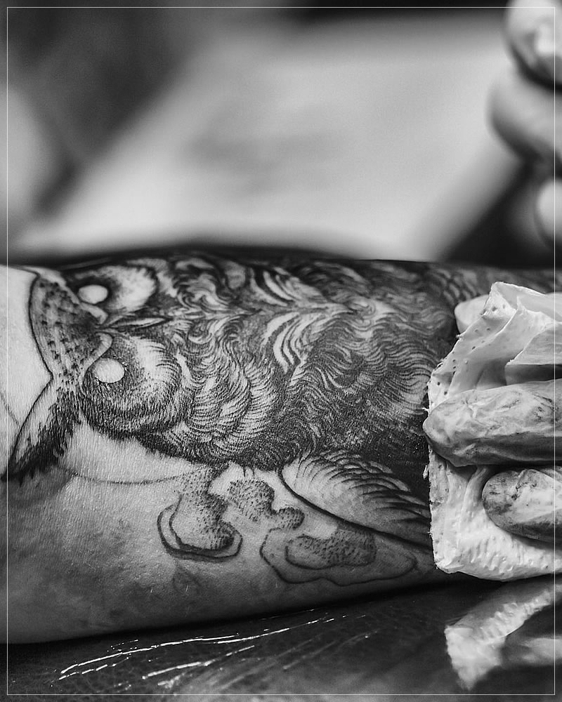 Tatuagens | Bairro São Mateus | Estúdios de tatuagens em São Mateus